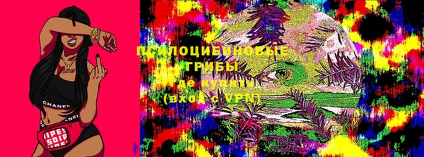 a pvp Богданович