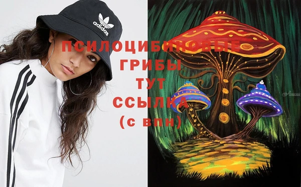 a pvp Богданович