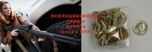 Альфа ПВП Богородицк