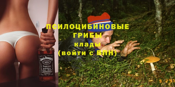 COCAINE Богородск